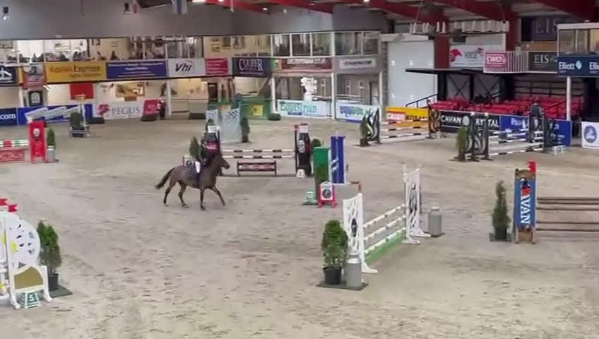 Hoppning hästar till salu: Flertal hästar och ponnier tillsalu  i Ödsmål - Video 2