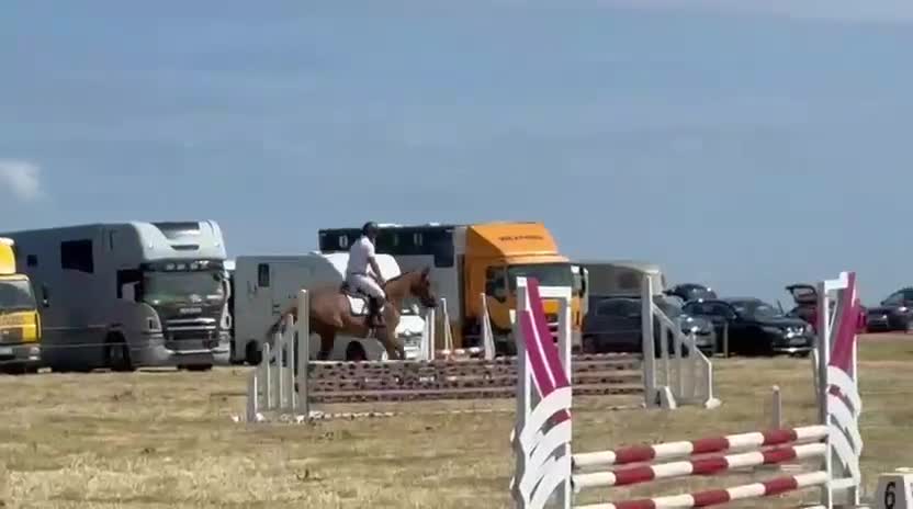 Hoppning hästar till salu: Supertrevlig 6åring 🌷 - Video 2