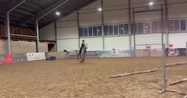 Allround hästar till salu: Rolig 5-åring  - Video 2