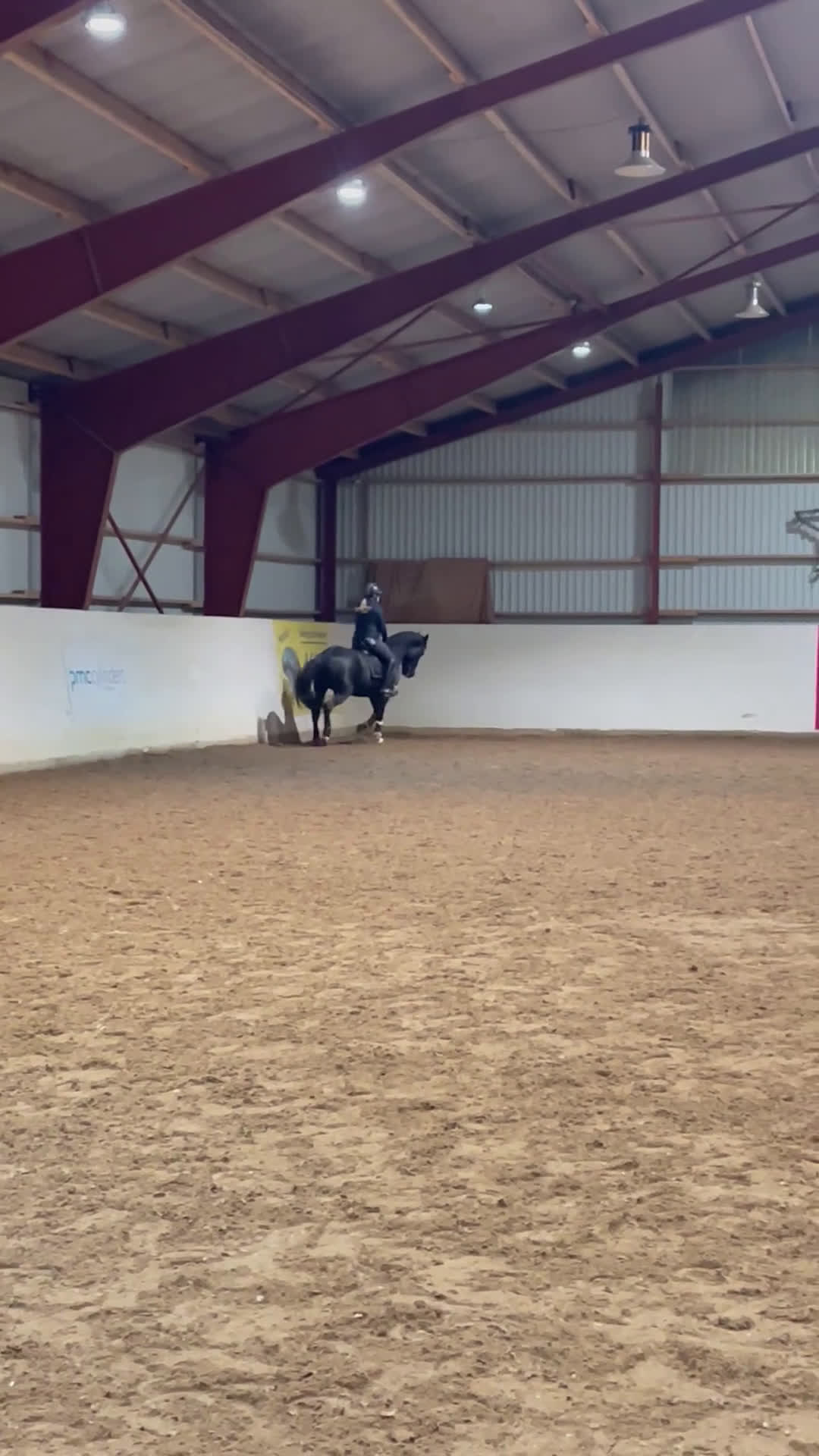 Fälttävlan hästar till salu: Fantastisk Fältävlansponny🌟 i Vetlanda - Video 4