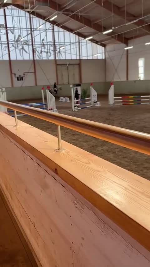 Allround hästar till salu: Pigg allroundponny - Video 2
