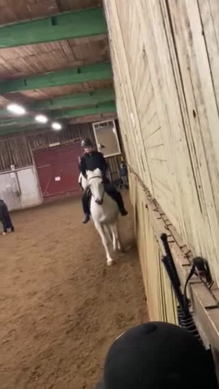  medryttarhäst finnes: Söker medryttarhäst i Täby - Video 1