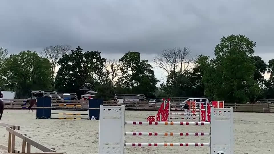 Hoppning hästar till salu: Lovande hopphäst i Våxtorp - Video 2