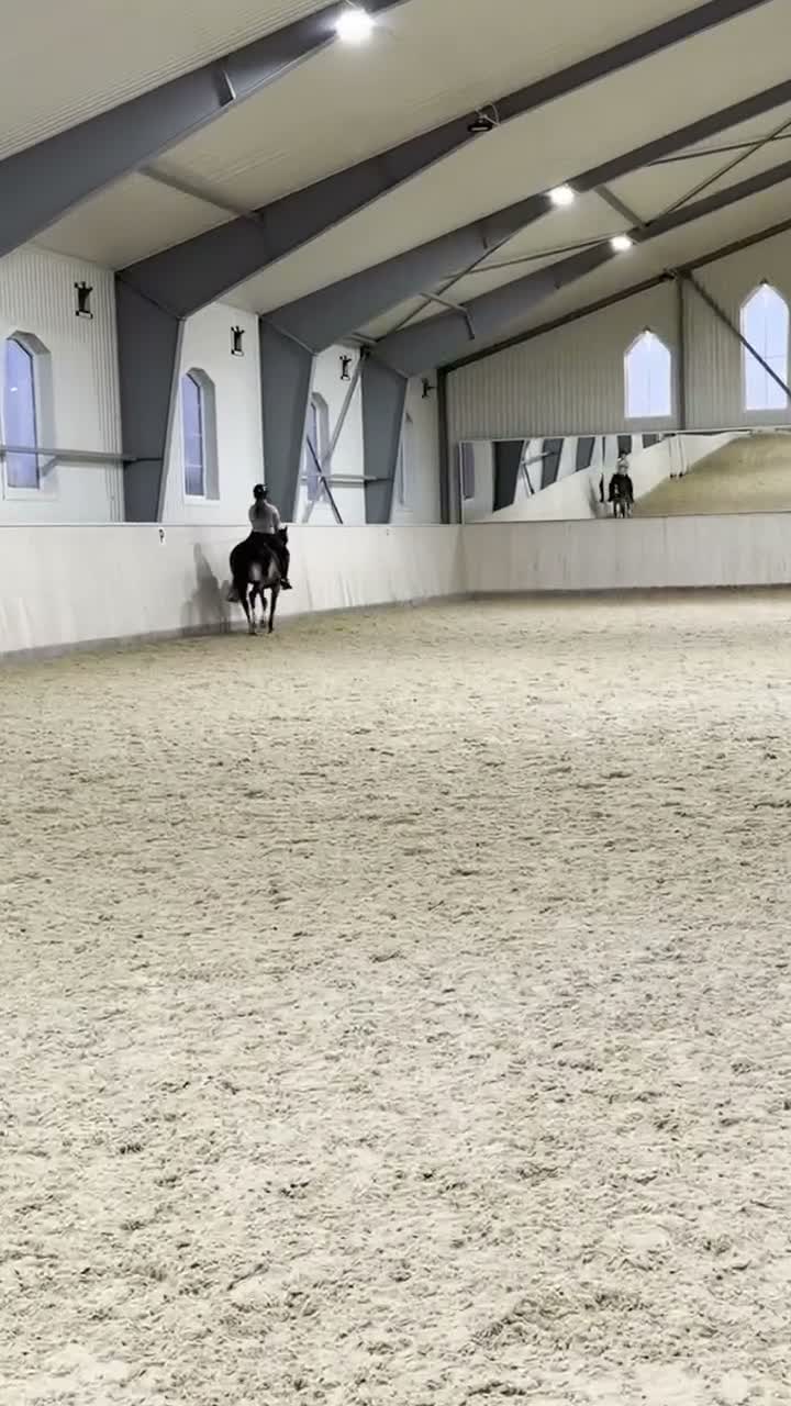 Allround hästar till salu: Världens bästa läromästare ❤️ - Video 1