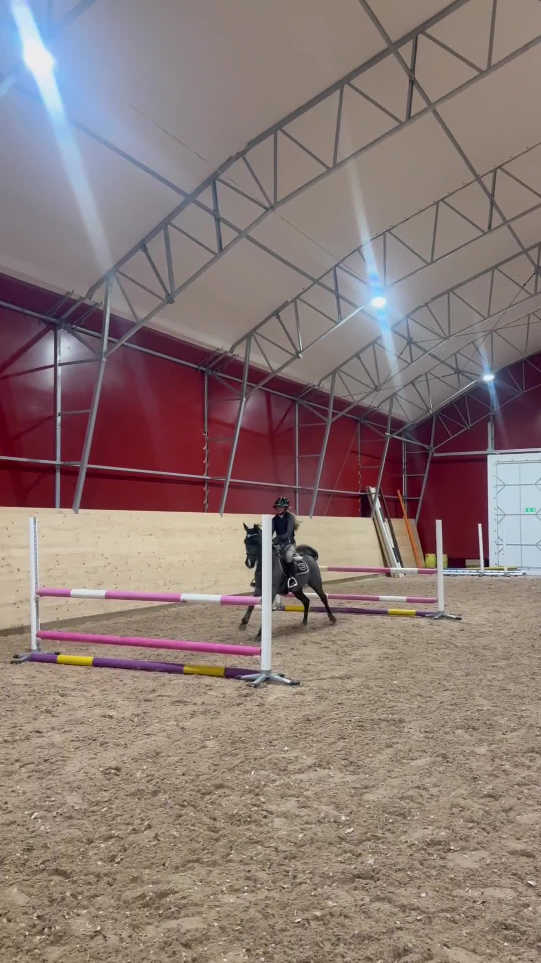 Hoppning hästar till salu: Maxad B ponny  - Video 2