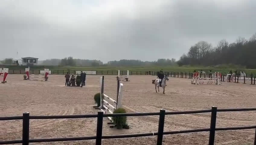 Hoppning hästar till salu: Ärlig, snabb och försiktig C-ponny i Strömstad - Video 1