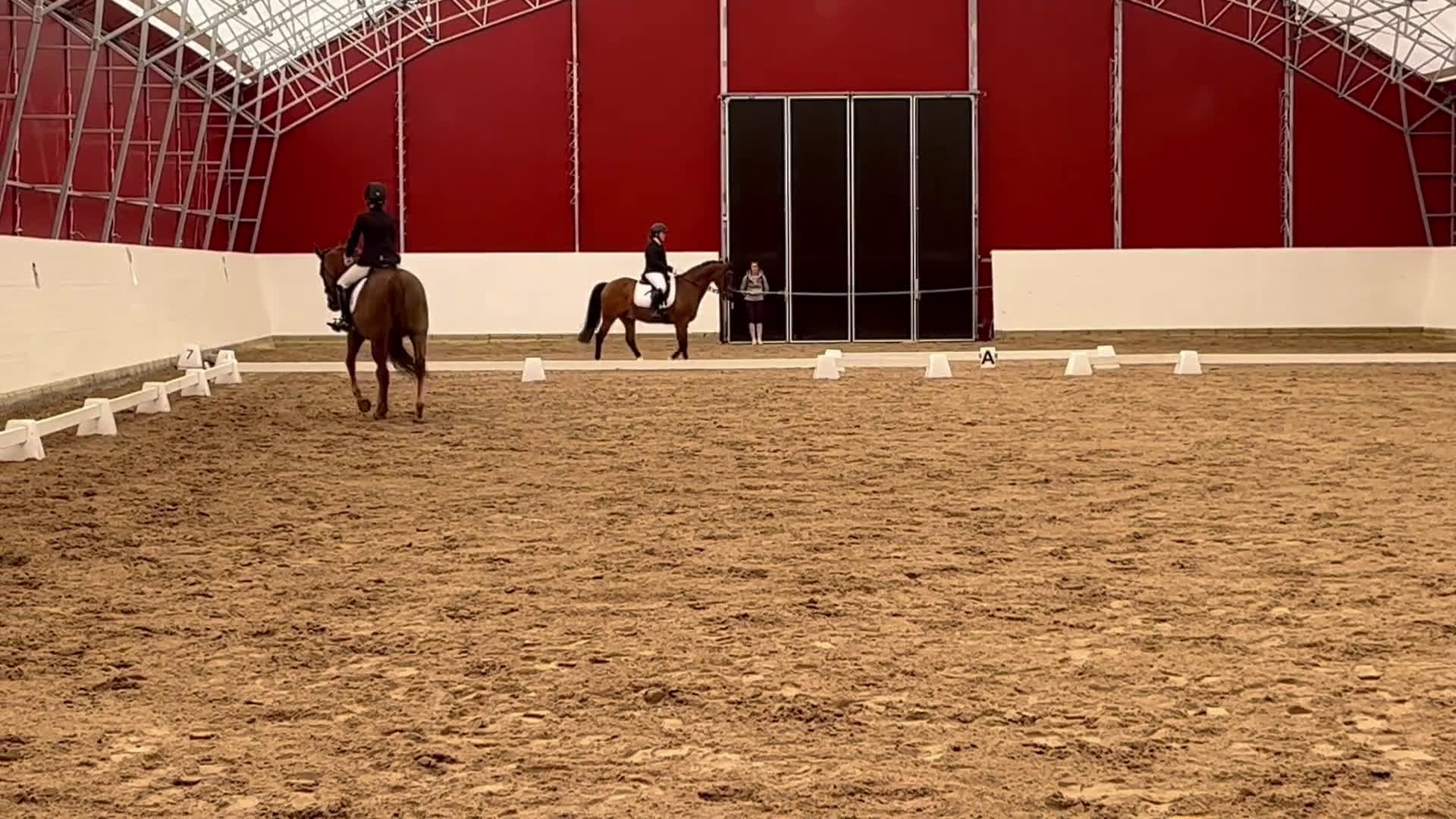 Allround hästar till salu: Lyxig hobbyhäst i Skepplanda - Video 2