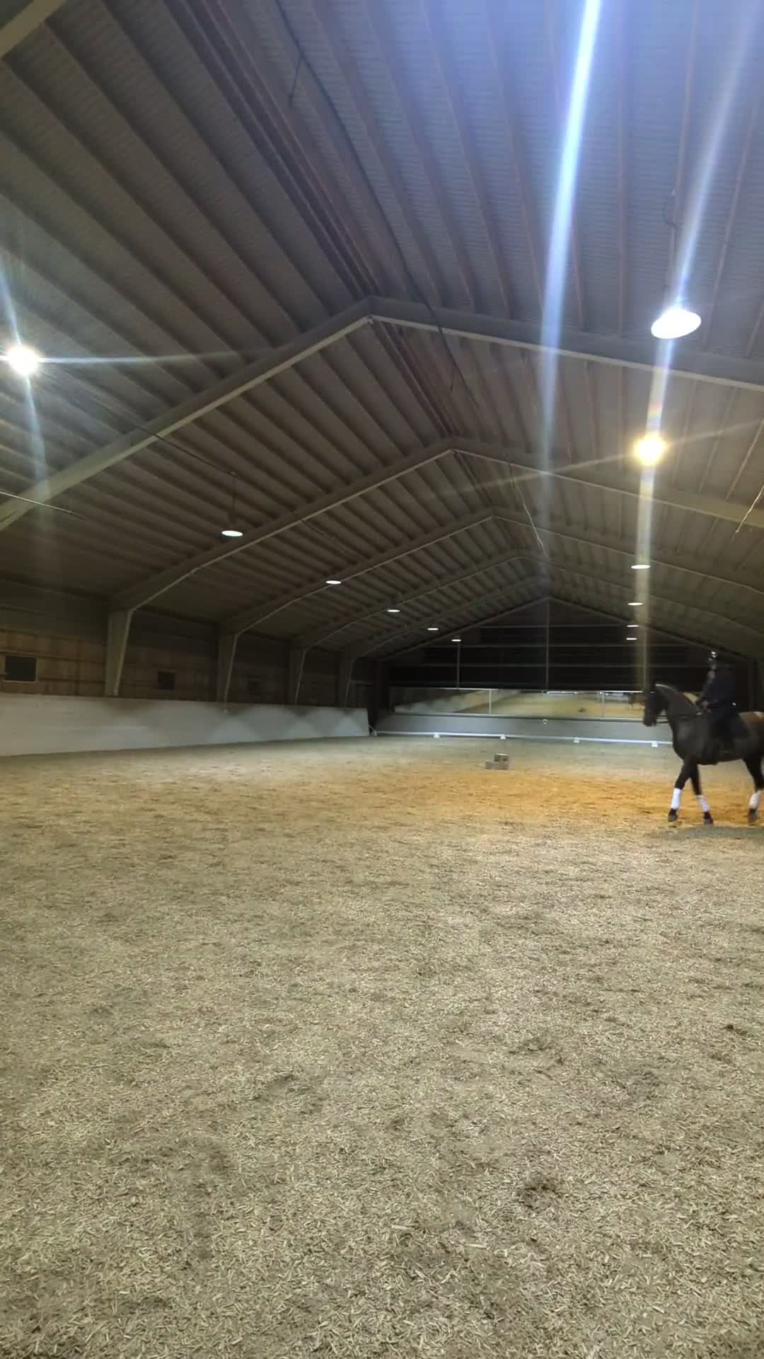 Dressyr hästar till salu: Fantastiskt valack med talang för piaff  i Väring - Video 1