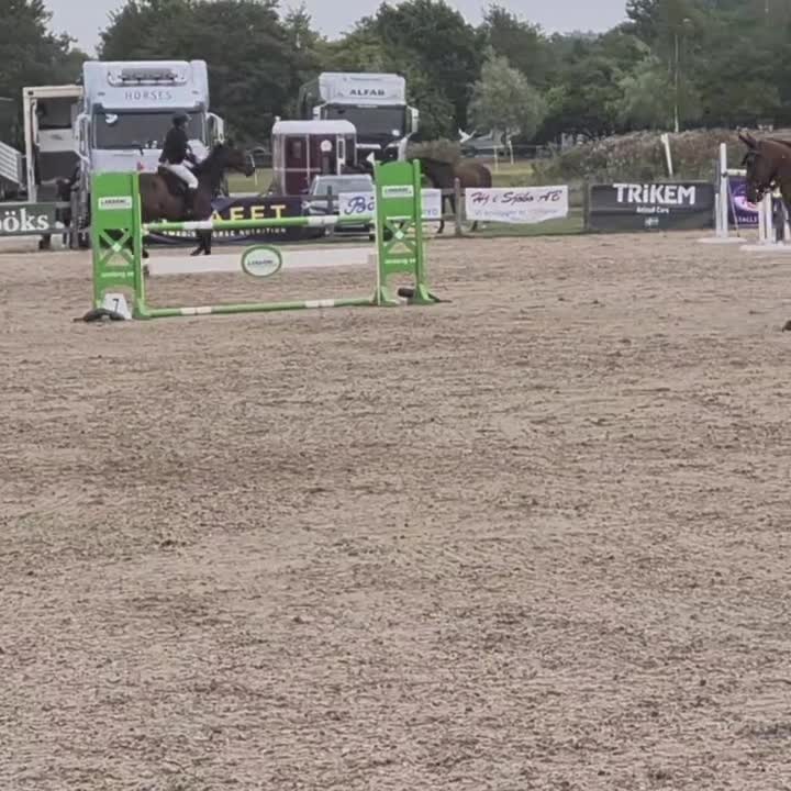 Hoppning hästar till salu: Lovande 6-årigt sto med toppstam i Blentarp - Video 2