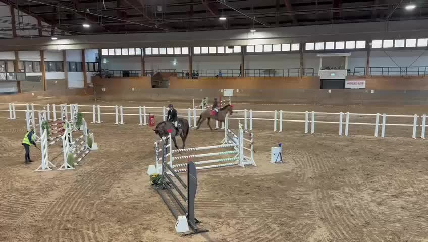 Hoppning hästar till salu: Hopphäst  - Video 1