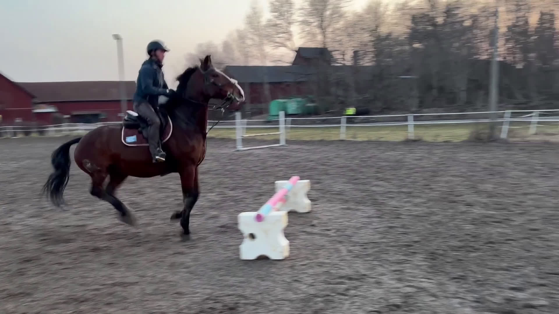 Hoppning hästar till salu: Fin häst med utvecklingspotential  - Video 1