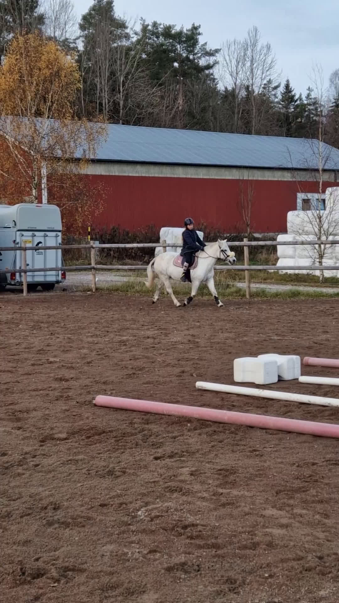 Allround hästar till salu: B ponny  i Åmål - Video 3