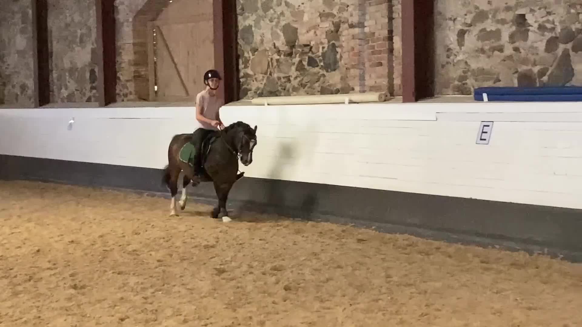 Allround hästar till salu: Drömponny med kapacitet för både hopp och dressyr! - Video 2