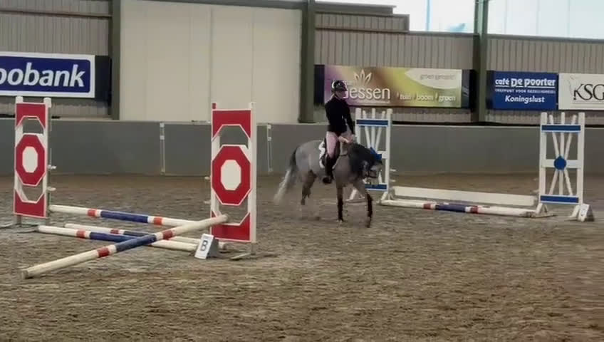 Hoppning hästar till salu: 🌟 Bedårande C-ponnyvalack 🌟 i Borås - Video 1