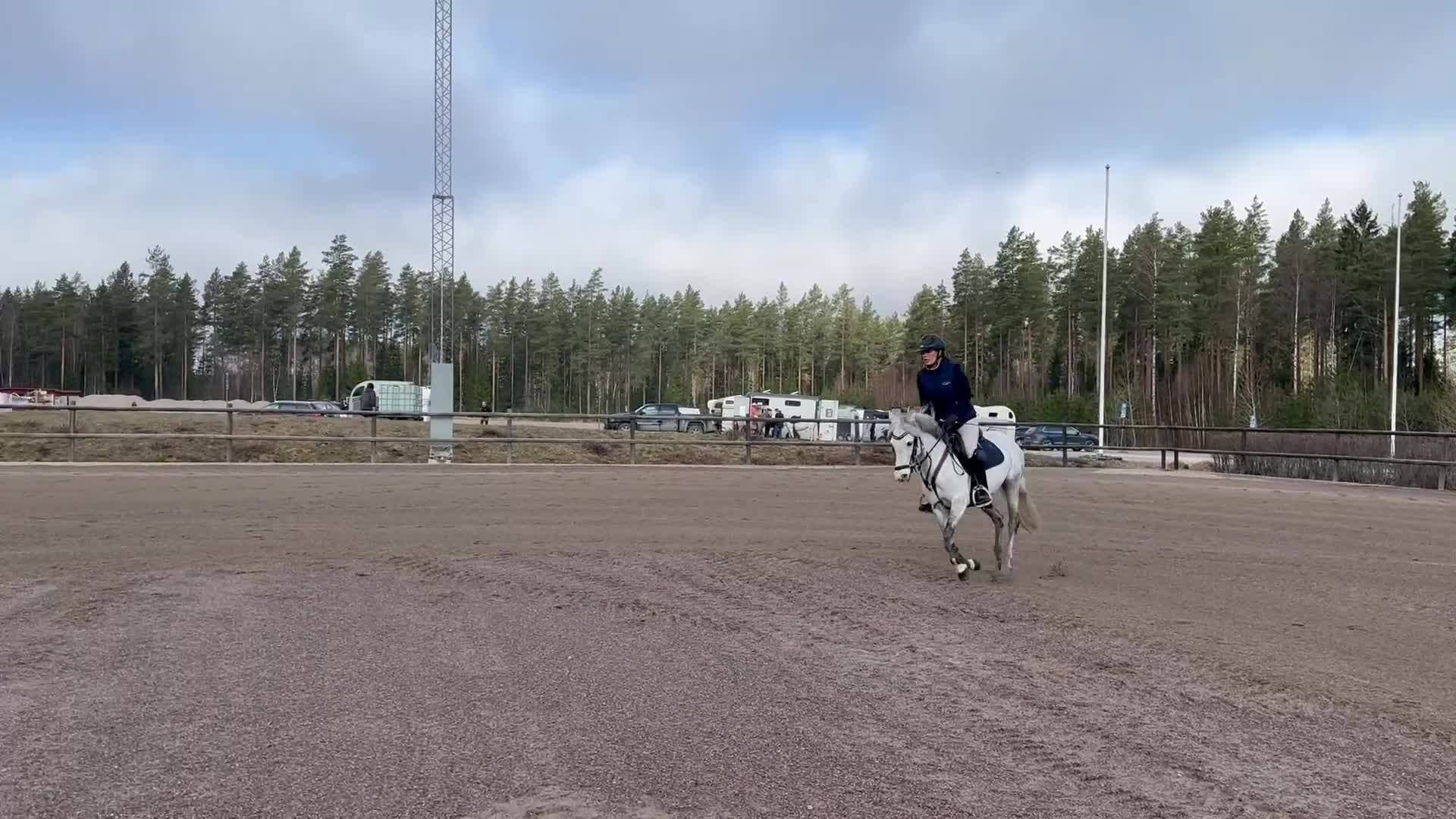 Hoppning hästar till salu: Utvecklingsbar hopponny med kapacitet  - Video 2