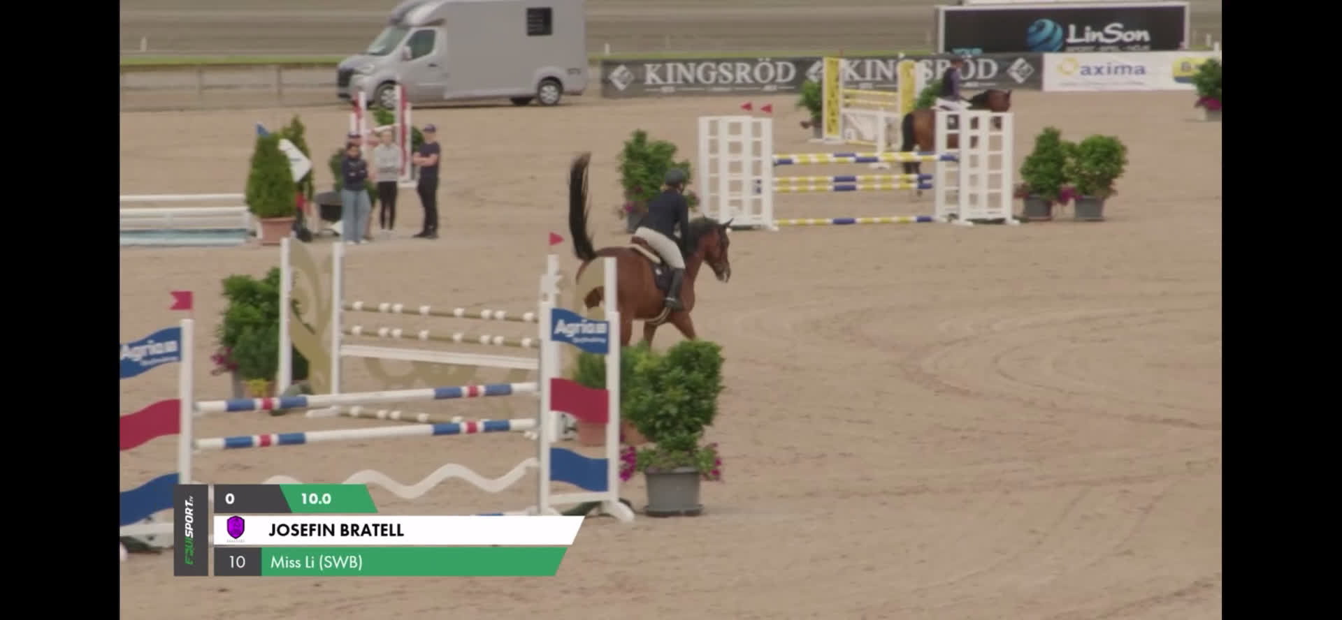 Hoppning hästar till salu: Snyggt Sto för framtiden  - Video 1