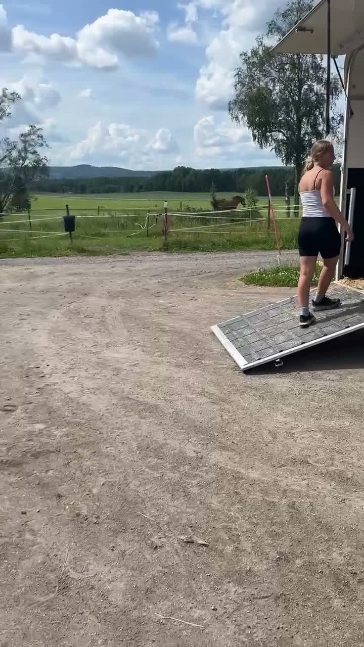 Allround hästar till salu: Hoppglad ponny söker sin egna ryttare - Video 1