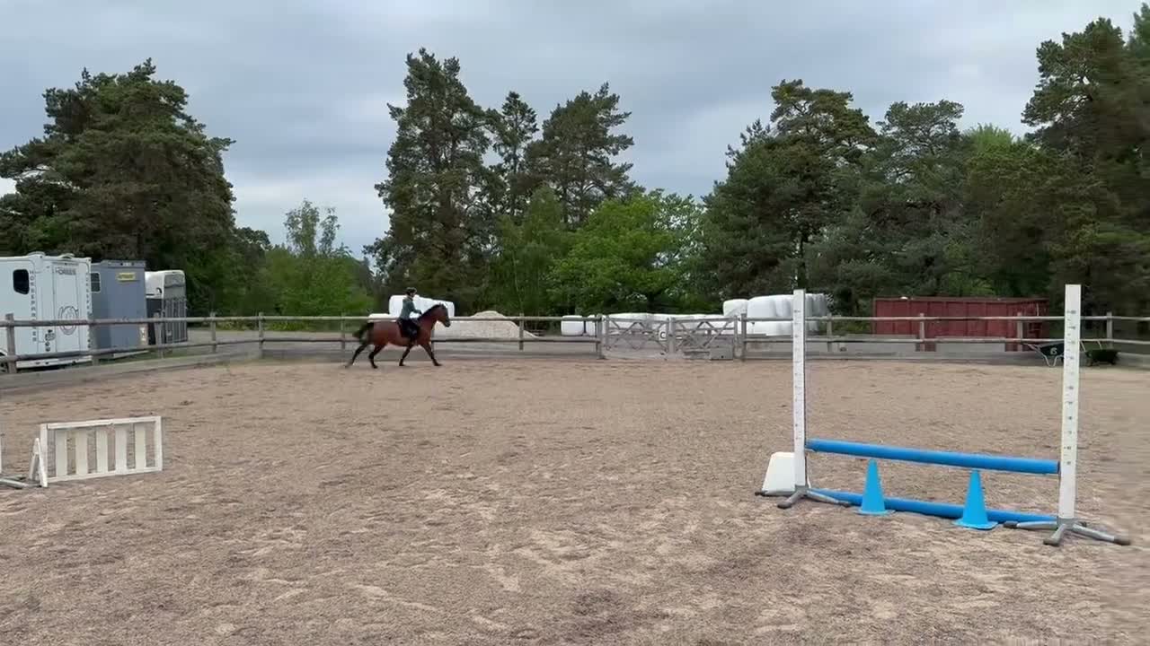 Allround hästar till salu: Välutbildad och meriterad Svensk Ridponny - Video 5