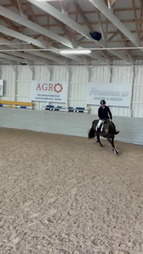 Hoppning hästar till salu: C-ponny sto -13 i Norberg - Video 1