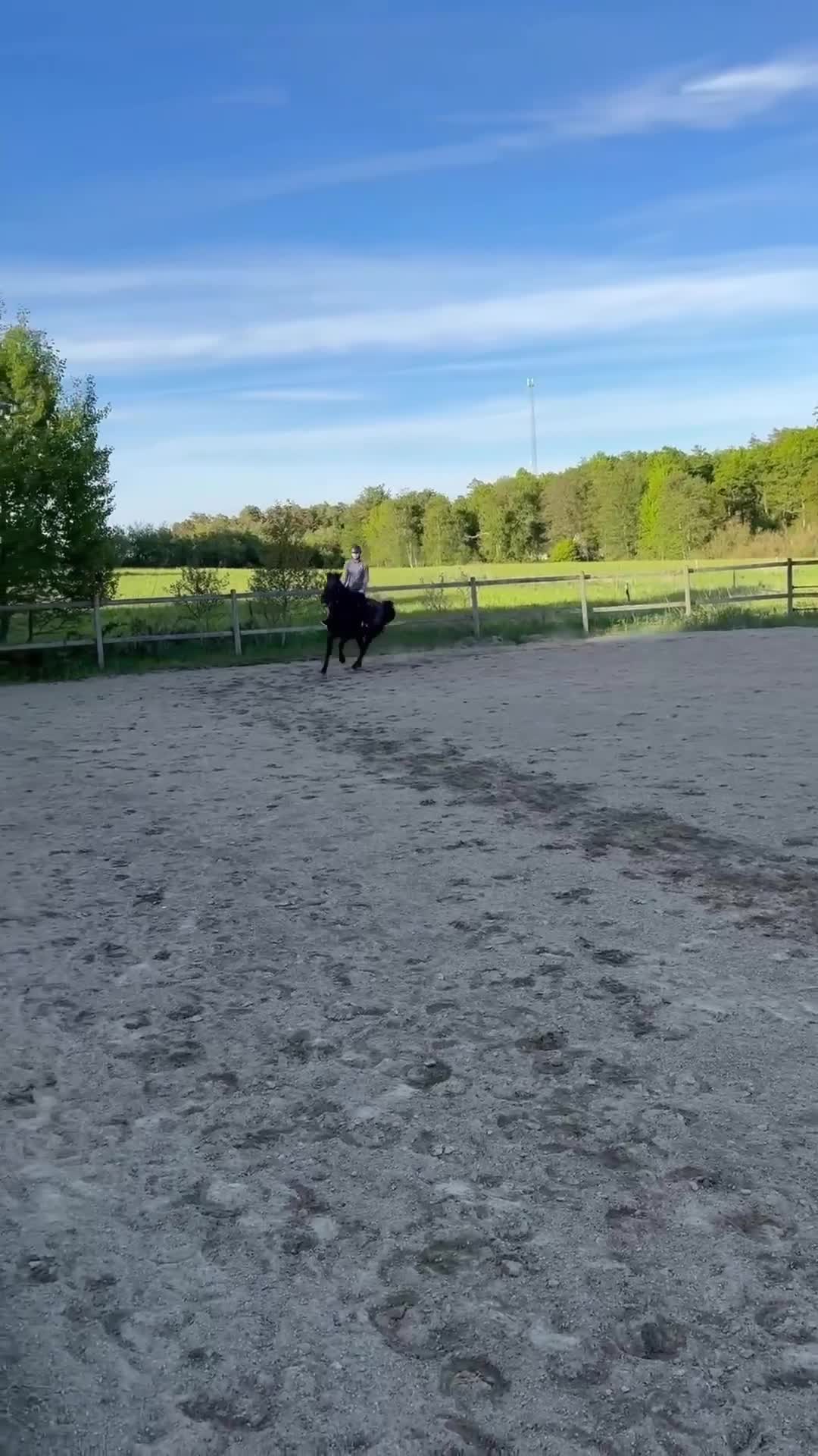 Allround hästar till salu: Hoppglad C-ponny, perfekt första bästa kompis! - Video 2