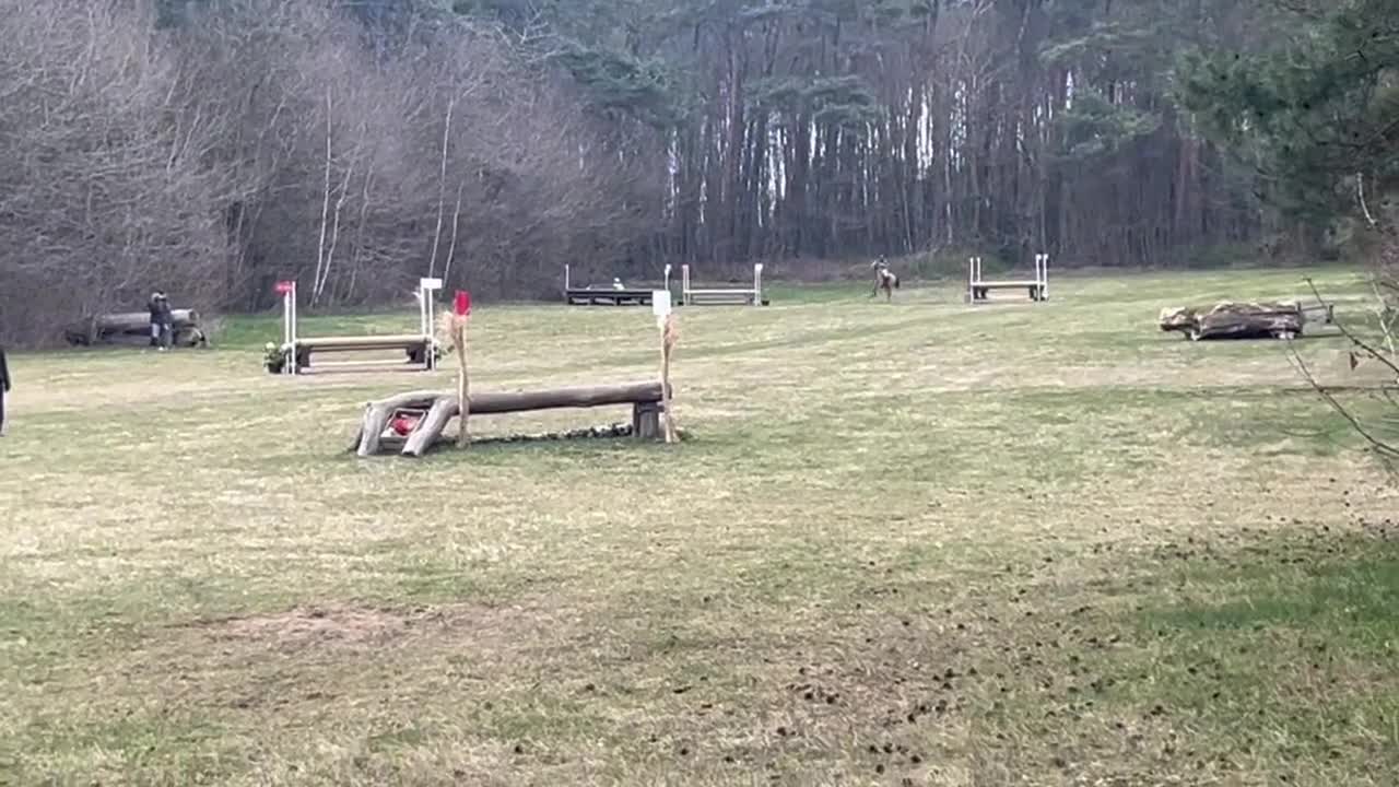Hoppning hästar till salu: Mycket trevlig ponny!  - Video 5