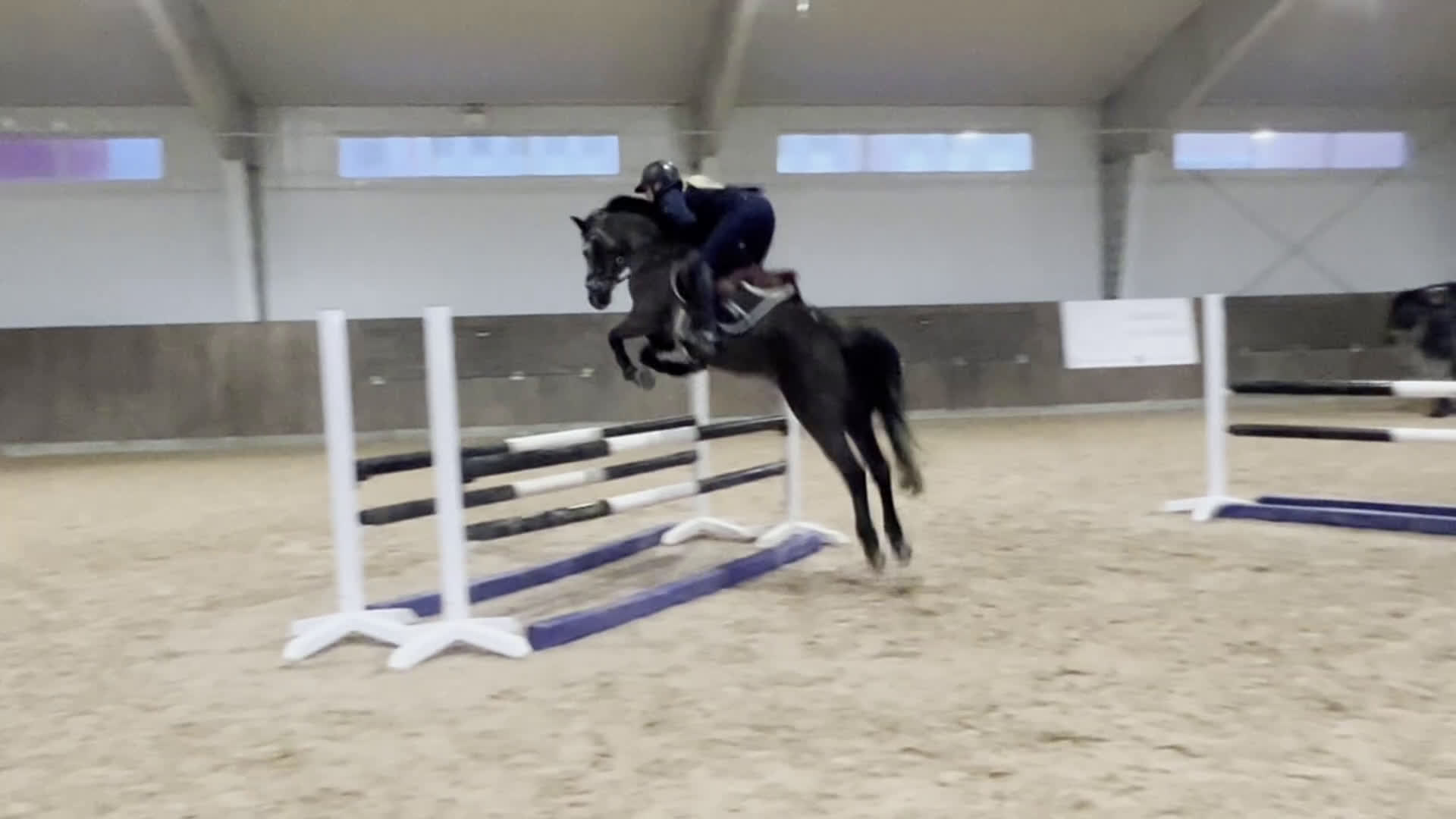 Hoppning hästar till salu: C-ponny med stort hopp och hög ridbarhet i Kungsbacka - Video 3