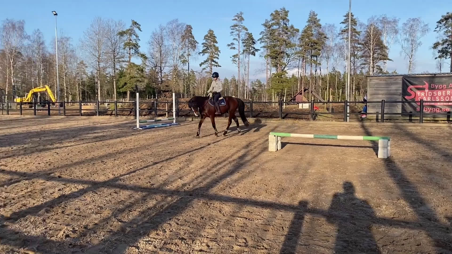 Allround hästar till salu: Personlig d-ponny söker nytt hem i Uddevalla - Video 1