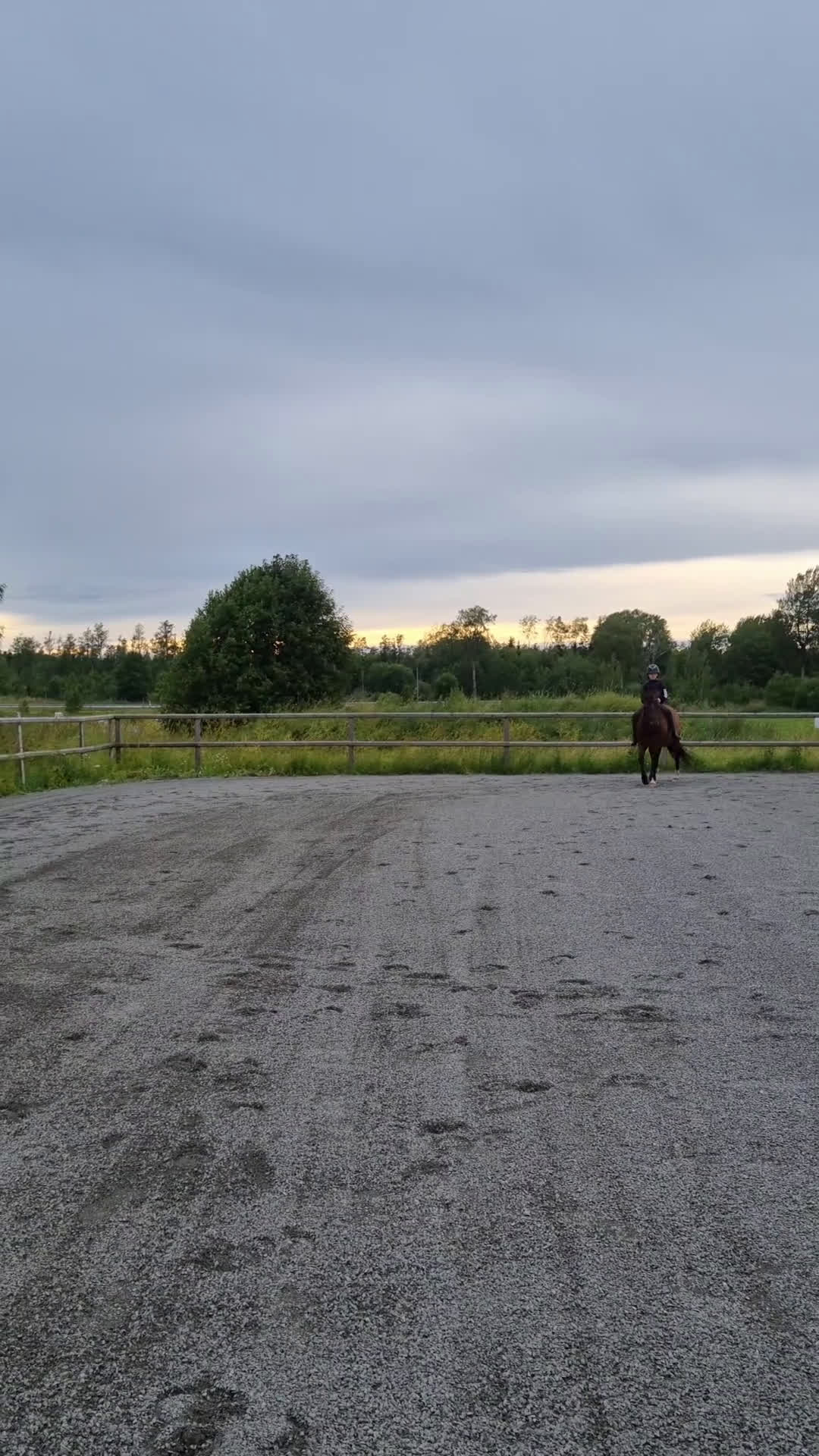 Sällskap hästar till salu: Tryggt sto söker sista hem i Skyttorp - Video 1