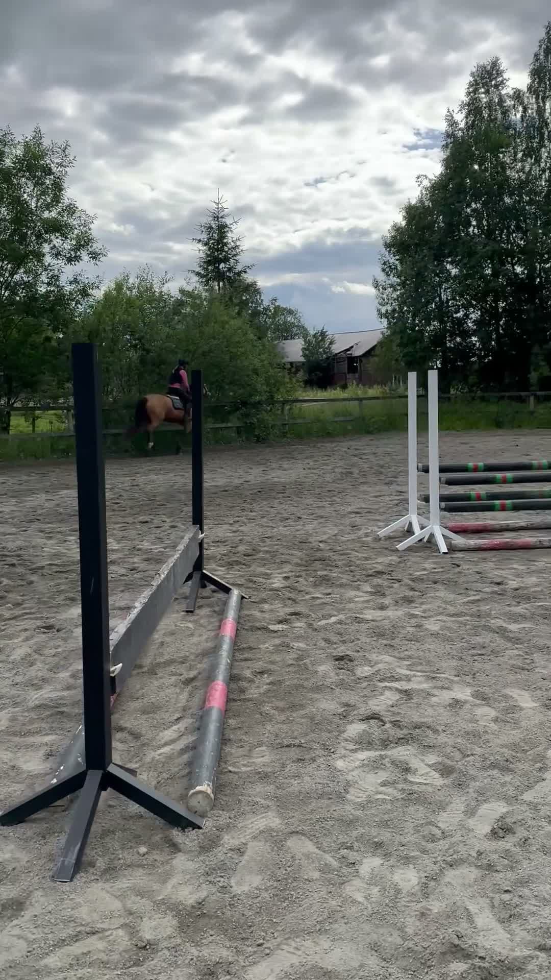 Hoppning hästar till salu: Lovande 5 åring D-Ponny - Video 4