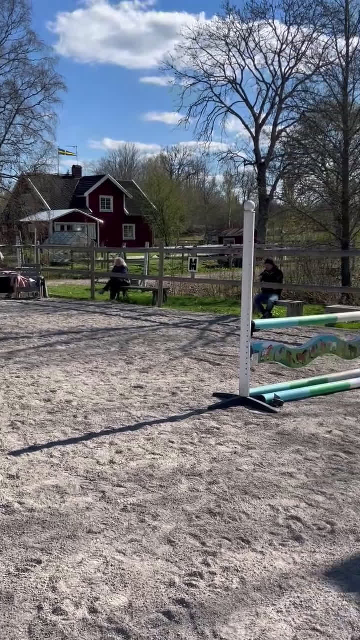 Allround hästar till salu: Din egen prinsessa ❤️ - Video 2