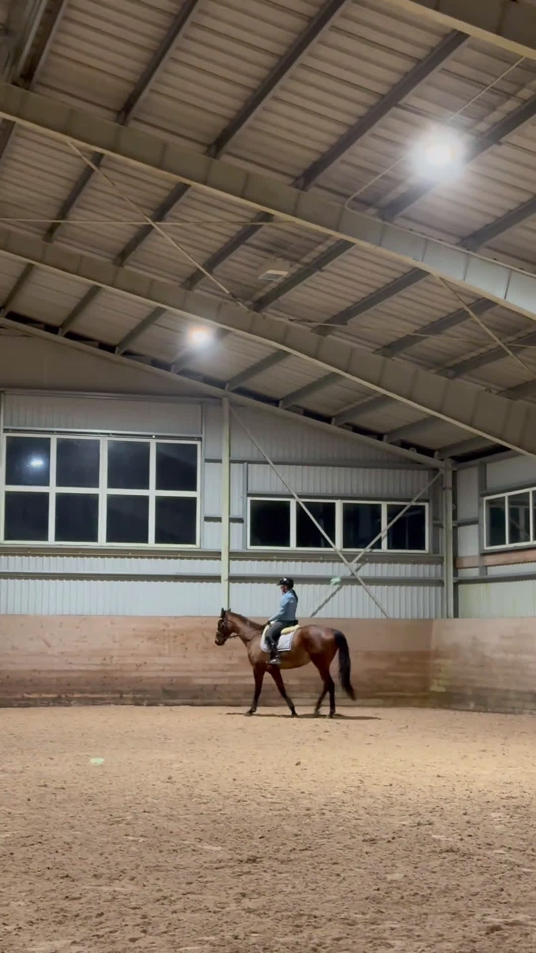 Allround hästar till salu: RESERVERAD- Världens bästa unghäst söker hem - Video 2