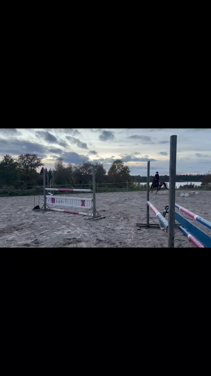 Hoppning hästar till salu: SM Ponny!!🌟 - Video 3