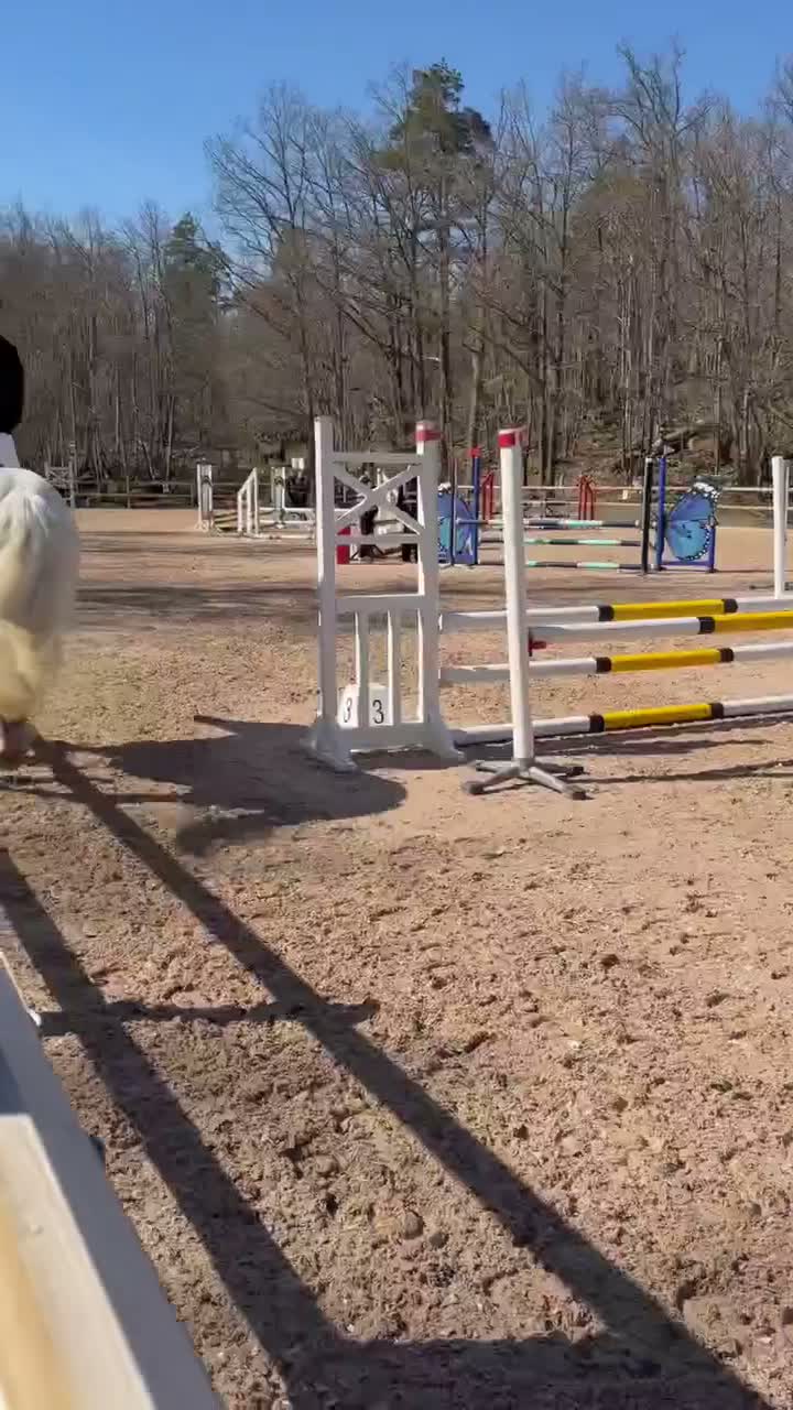 Allround hästar till salu: Hoppglad D-ponny  - Video 2