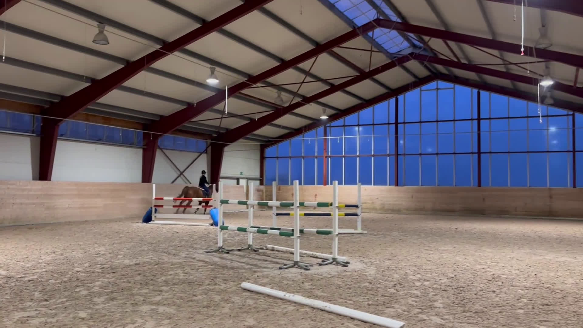 Hoppning hästar till salu: Fint sto till salu!  i Vellinge - Video 4