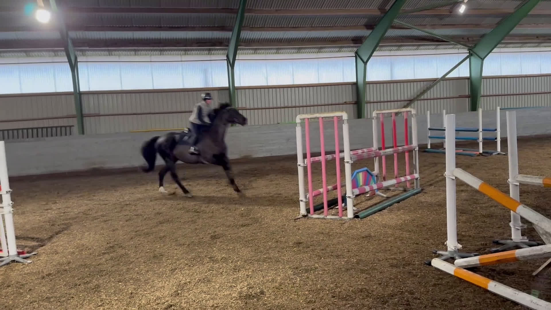 Allround hästar till salu: Sto med personlighet  - Video 1