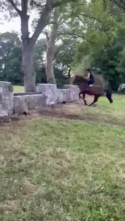 Hoppning hästar till salu: Perfekt tävlingskompis i Mörlunda - Video 2