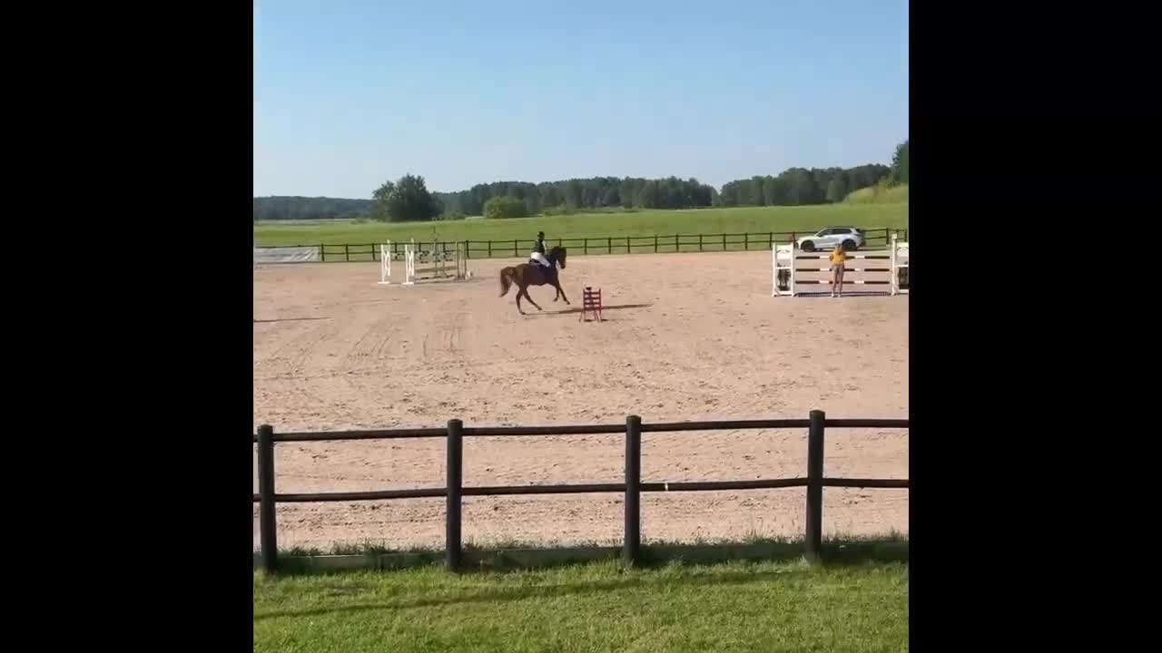 Hoppning hästar till salu: Kvick och sportig SWB valack  - Video 3