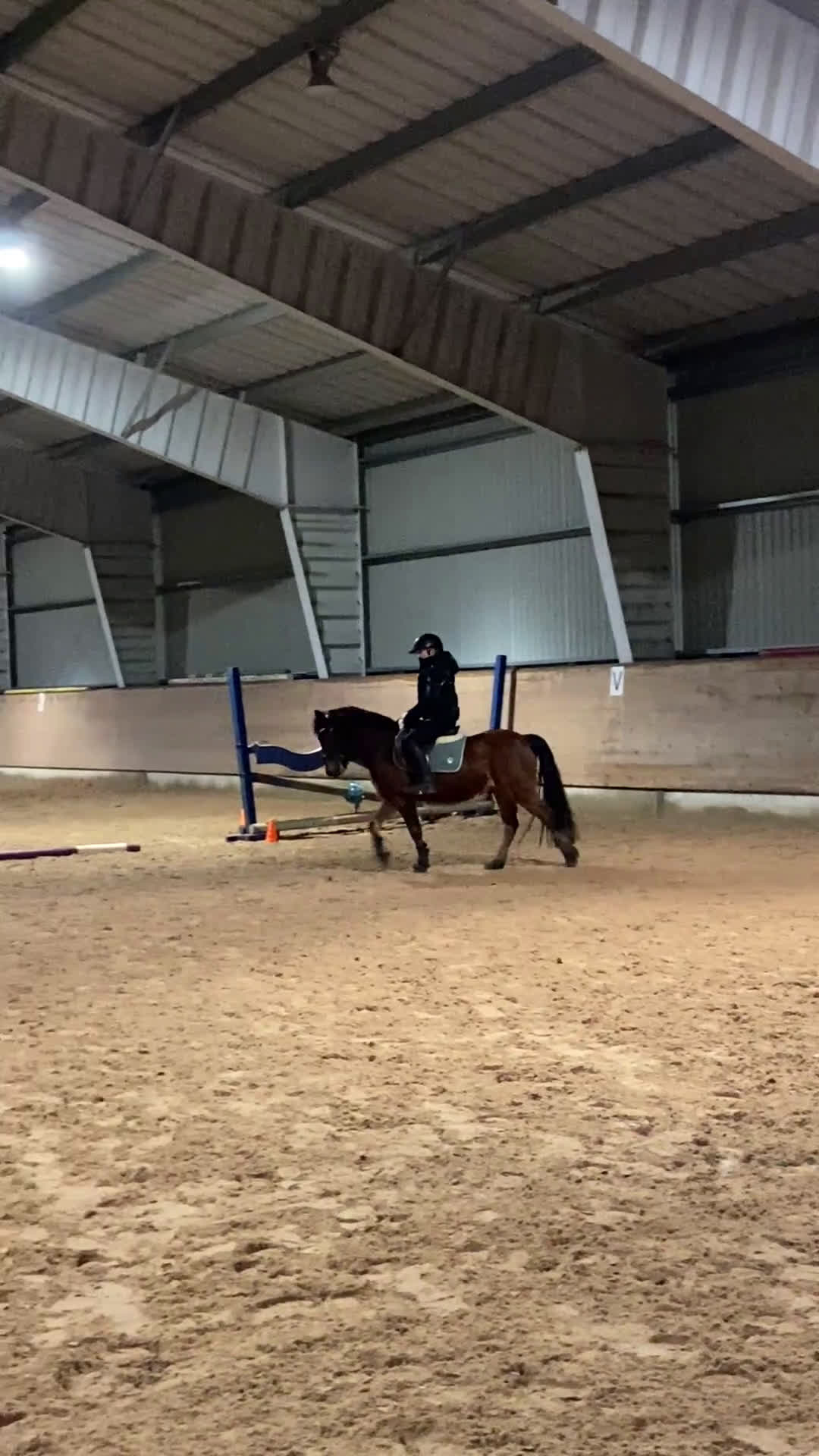 Allround hästar till salu: Sötaste Rocky ❤️ - Video 5