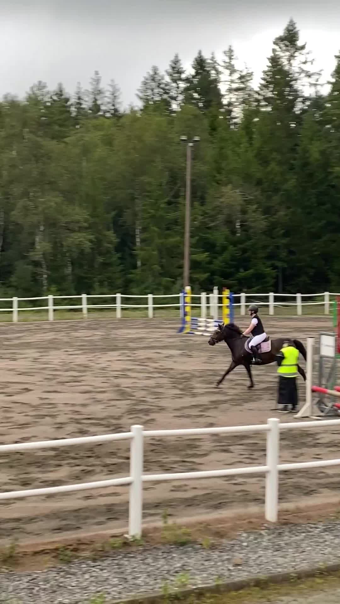 Allround hästar till salu: Härlig allround ponny - Video 2