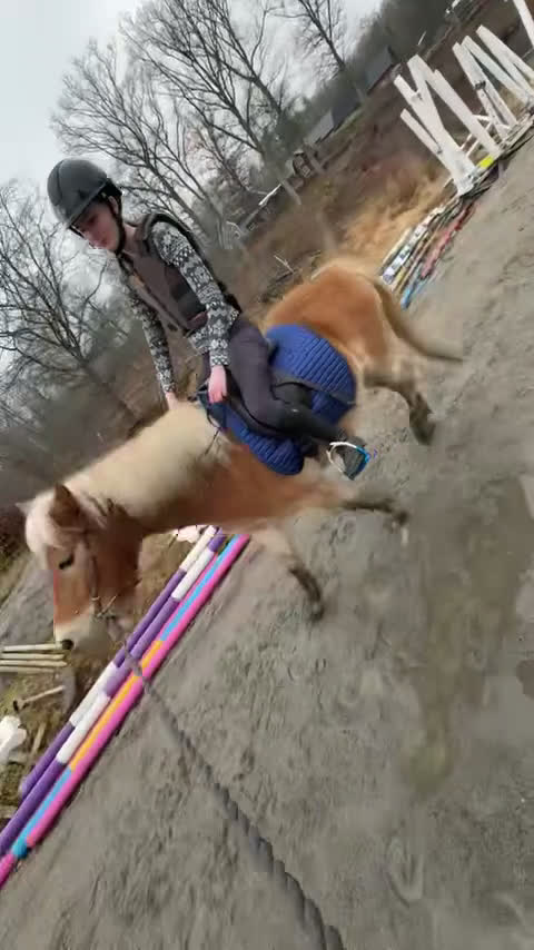 Allround hästar till salu: Pigg och känslig russvalack - Video 1