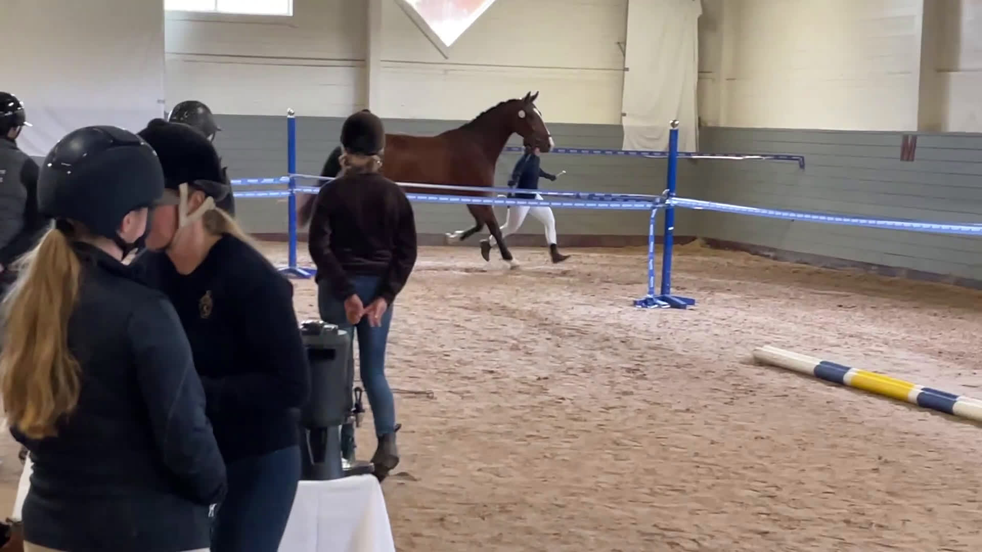 Dressyr hästar till salu: Dressyrhäst för framtiden  i Mariefred - Video 2