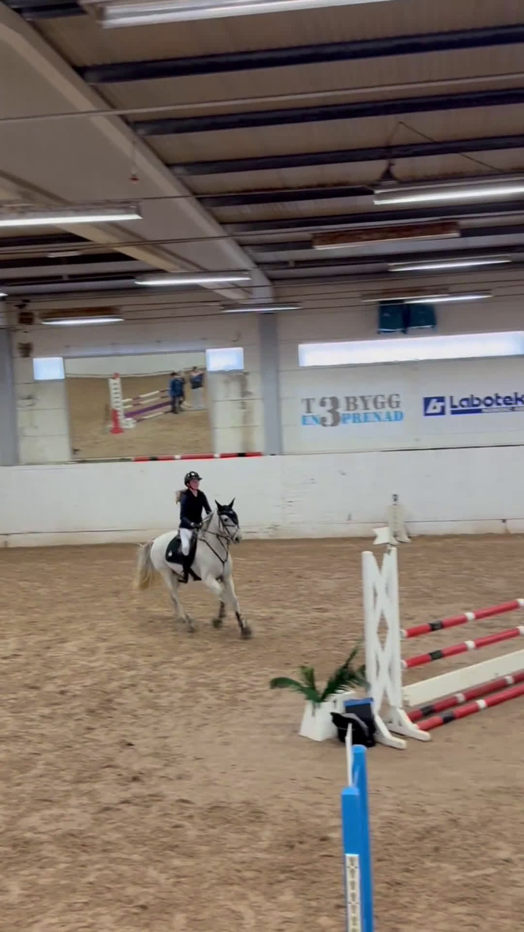 Allround hästar till salu: Ponny med kapacitet med rätt ryttare💗 - Video 1