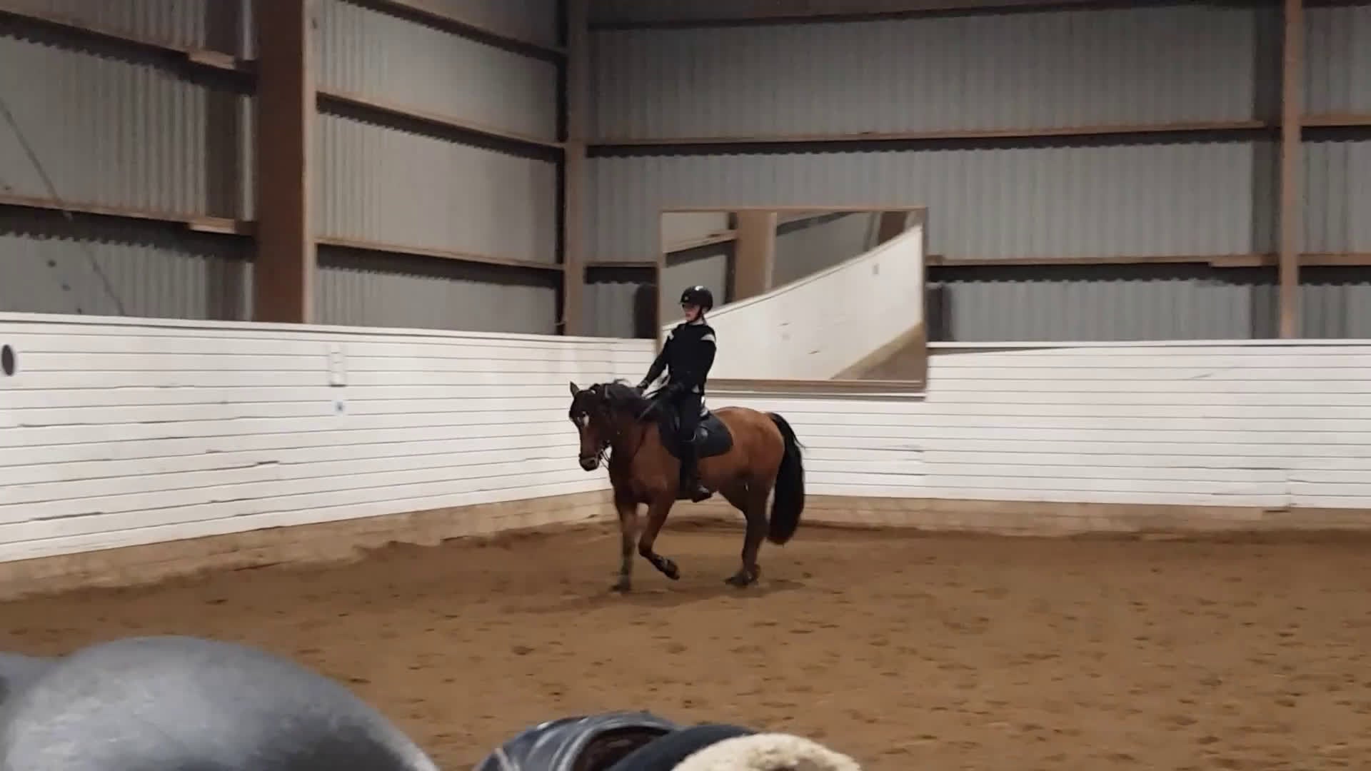 Allround hästar till salu: Ridponnysto - Video 2