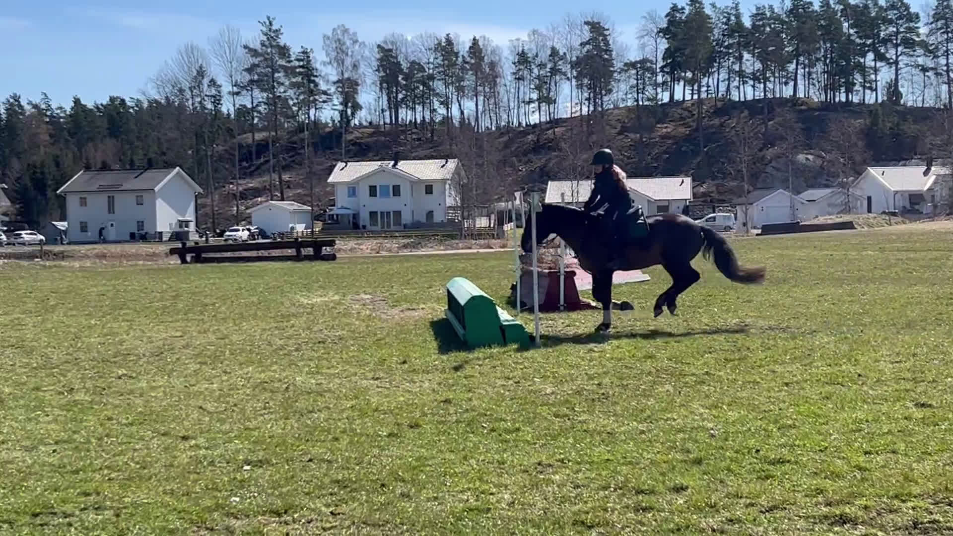 Allround hästar till salu: Fantastisk läromästare! - Video 1