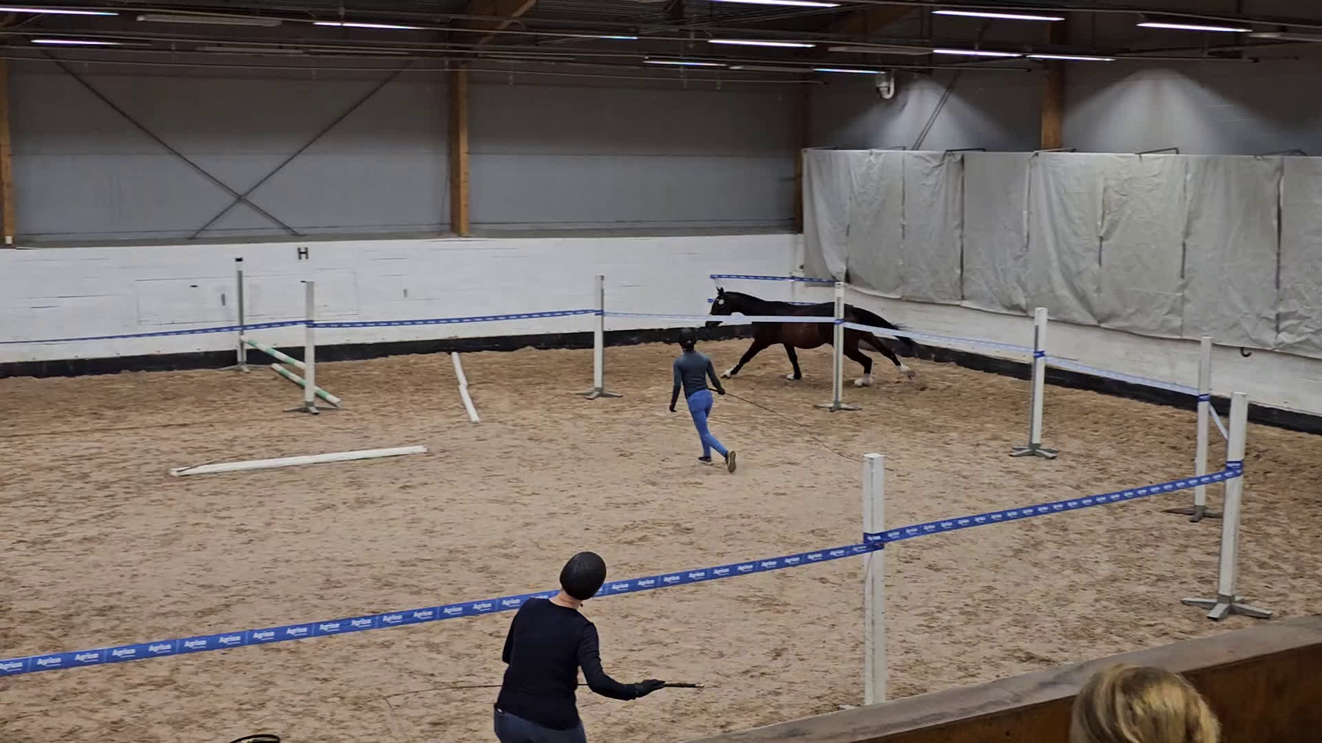 Hoppning hästar till salu: Iögonfallande 3-åring i Vännäs - Video 3