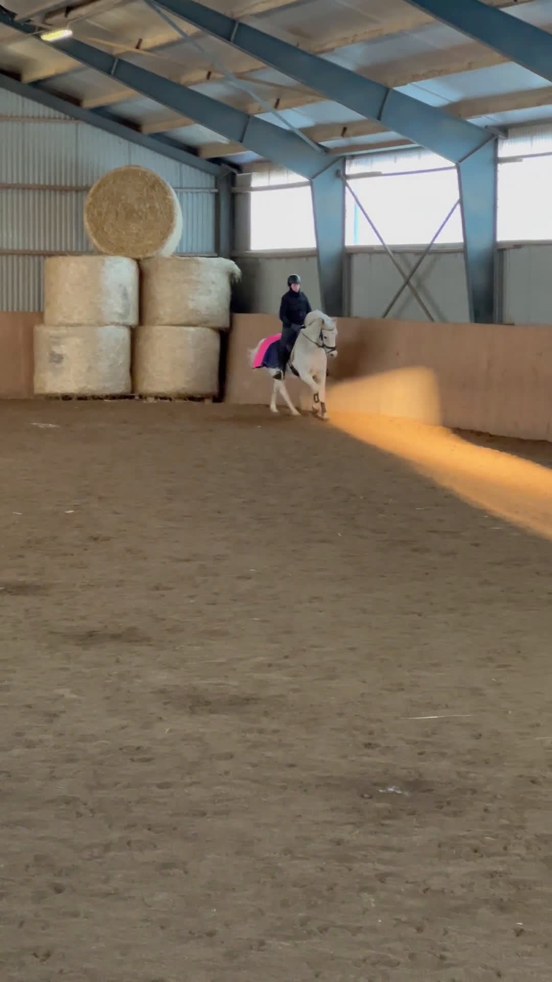 Allround hästar till salu: Charming D-ponny - Video 1