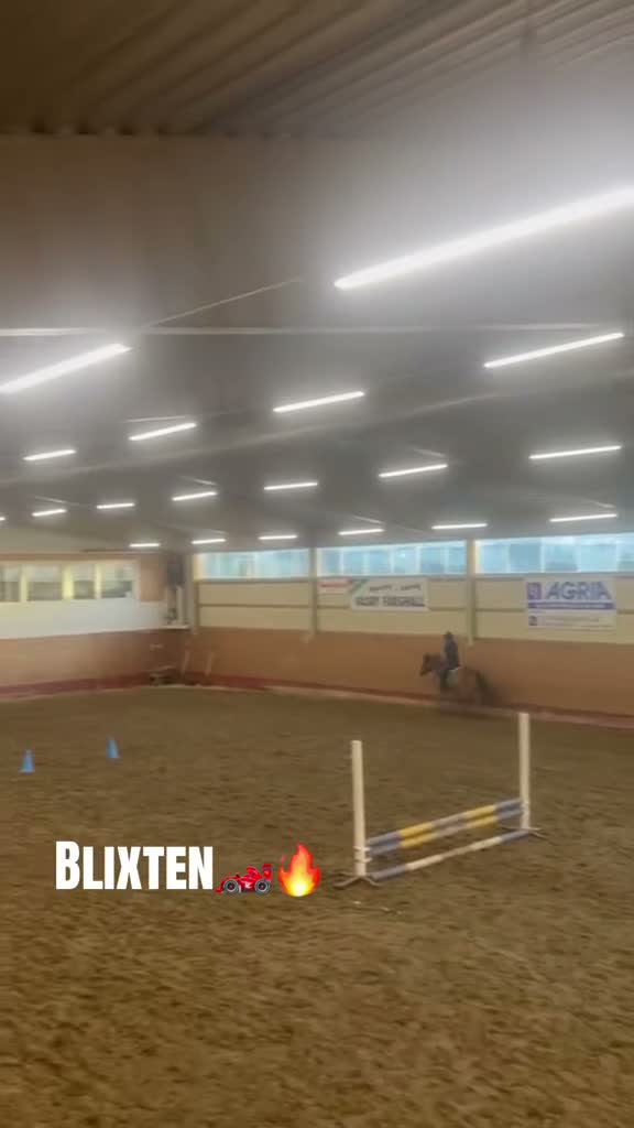 Allround hästar sökes: Medryttar ponny sökes! i Hägersten - Video 3