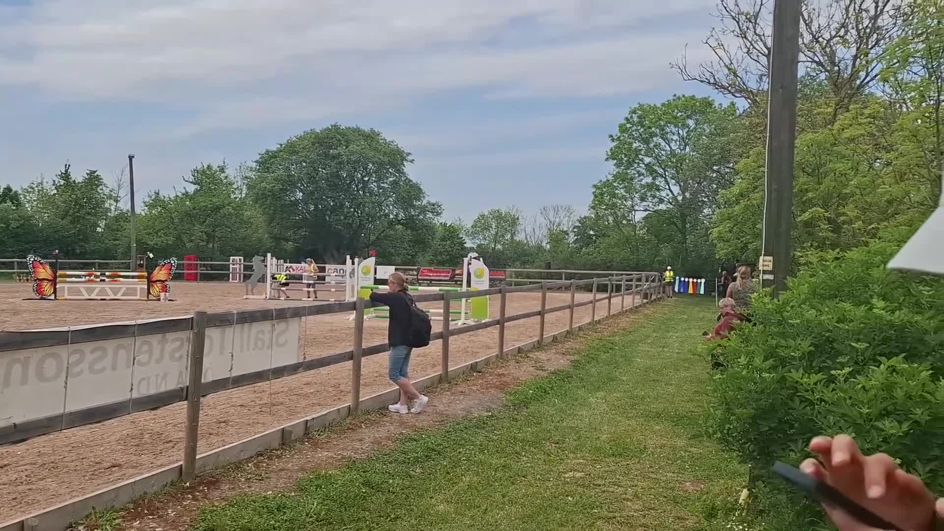 Hoppning hästar till salu: Sto som letar hinder! - Video 1