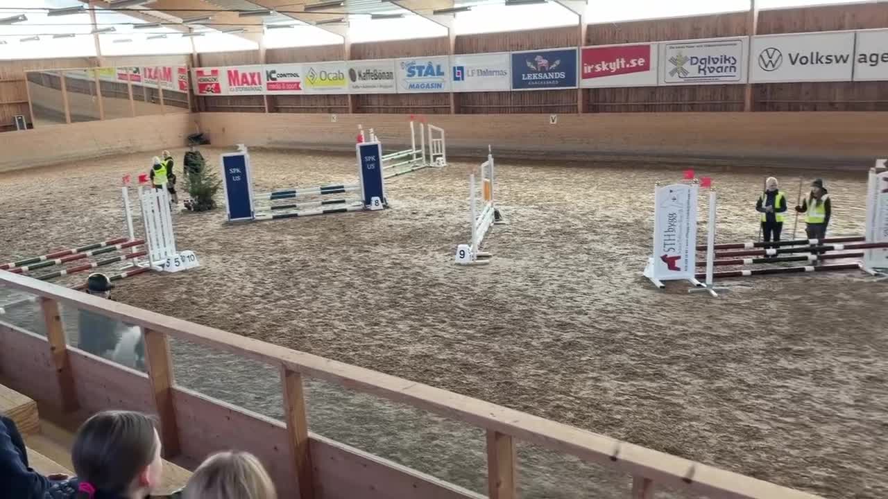 Hoppning hästar till salu: Härlig ponny med stort ❤️  i Dala-Floda - Video 1