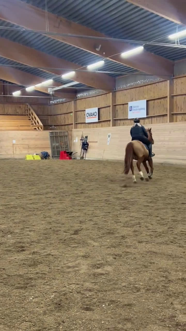 Allround hästar till salu: Underbara Madonna maxad D-ponny i Smedjebacken - Video 2